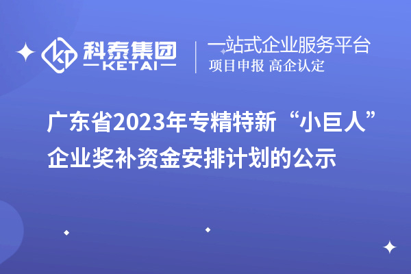 廣東省2023年專精特新“小巨人”企業(yè)獎(jiǎng)補(bǔ)資金安排計(jì)劃的公示