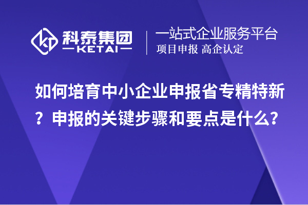 如何培育中小企業(yè)申報省專精特新？申報的關(guān)鍵步驟和要點是什么？