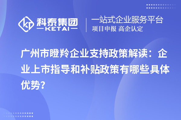 廣州市瞪羚企業(yè)支持政策解讀：企業(yè)上市指導(dǎo)和補(bǔ)貼政策有哪些具體優(yōu)勢？