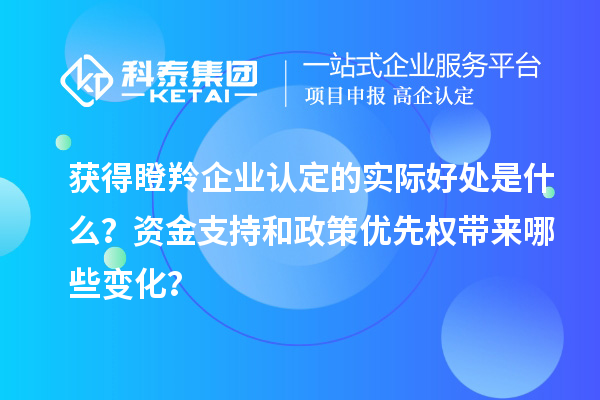 獲得瞪羚企業(yè)認(rèn)定的實(shí)際好處是什么？資金支持和政策優(yōu)先權(quán)帶來哪些變化？