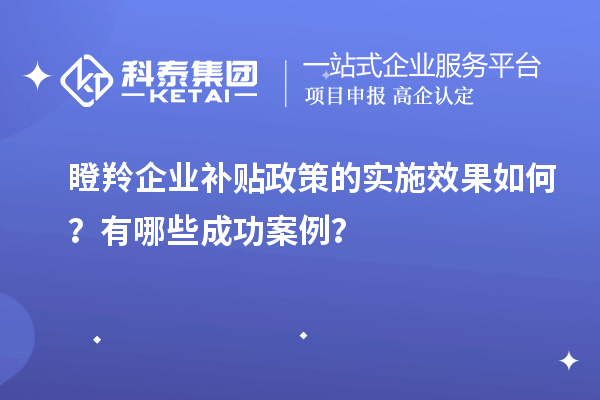 瞪羚企業(yè)補(bǔ)貼政策的實(shí)施效果如何？有哪些成功案例？