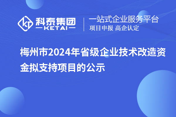 梅州市2024年省級(jí)企業(yè)技術(shù)改造資金擬支持項(xiàng)目的公示