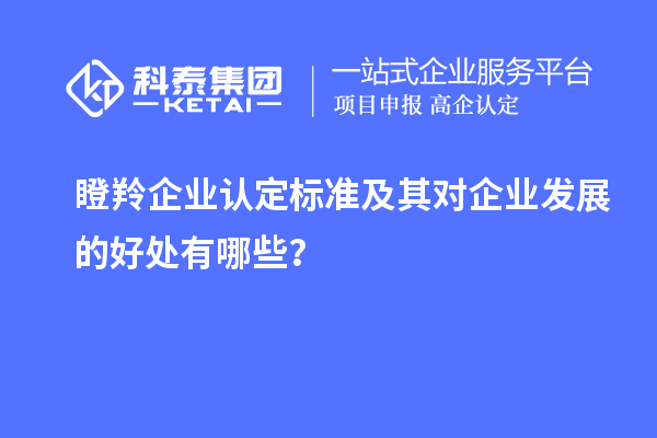 瞪羚企業(yè)認(rèn)定標(biāo)準(zhǔn)及其對(duì)企業(yè)發(fā)展的好處有哪些？