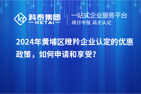 2024年黃埔區(qū)瞪羚企業(yè)認定的優(yōu)惠政策，如何申請和享受？