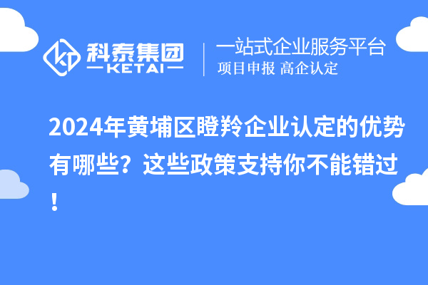 2024年黃埔區(qū)瞪羚企業(yè)認定的優(yōu)勢有哪些？這些政策支持你不能錯過！