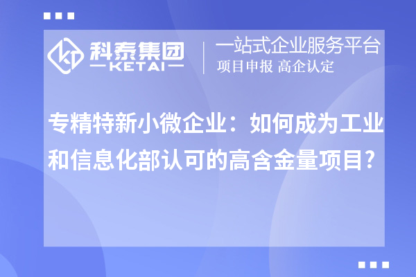專精特新小微企業(yè):如何成為工業(yè)和信息化部認(rèn)可的高含金量項(xiàng)目?