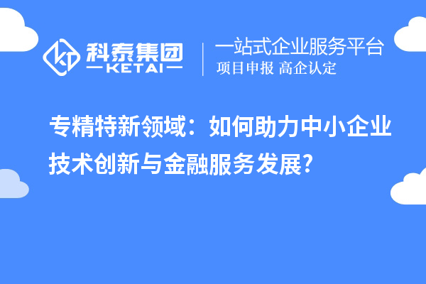 專精特新領域：如何助力中小企業(yè)技術創(chuàng)新與金融服務發(fā)展?