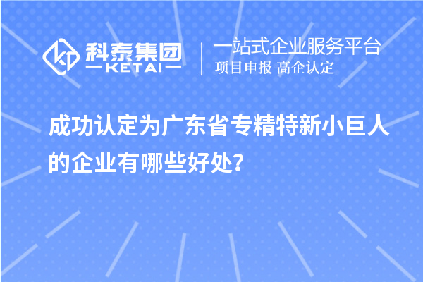 成功認定為廣東省專精特新小巨人的企業(yè)有哪些好處？