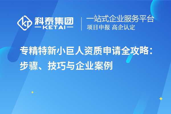 專精特新小巨人資質申請全攻略：步驟、技巧與企業(yè)案例