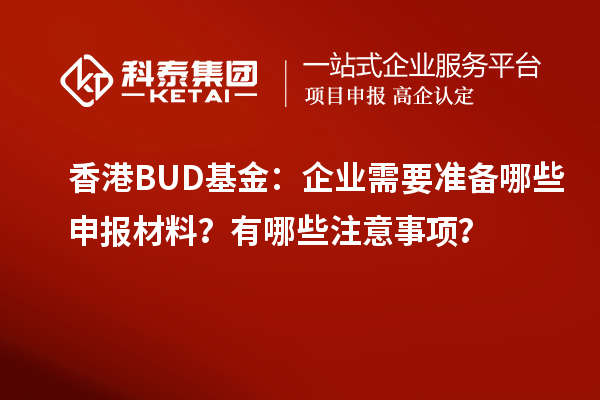 香港BUD基金：企業(yè)需要準備哪些申報材料？有哪些注意事項？