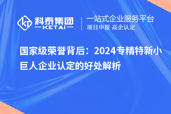 國家級榮譽背后:2024專精特新小巨人企業(yè)認(rèn)定的好處解析