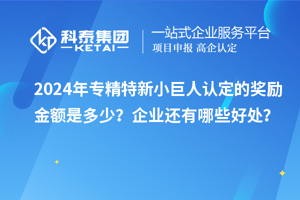 2024年專(zhuān)精特新小巨人認(rèn)定的獎(jiǎng)勵(lì)金額是多少？企業(yè)還有哪些好處？
