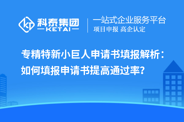 專精特新小巨人申請書填報解析：如何填報申請書提高通過率？