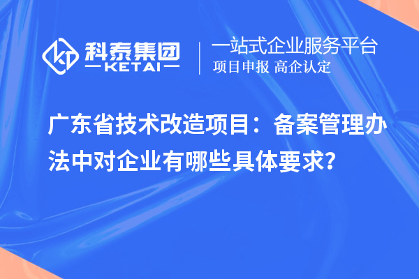 廣東省技術改造項目：備案管理辦法中對企業(yè)有哪些具體要求？