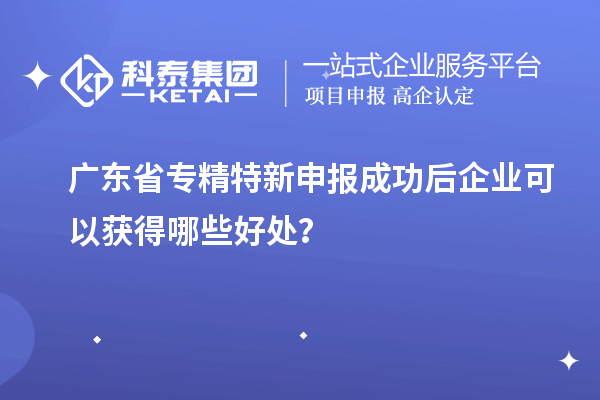 廣東省專精特新申報(bào)成功后企業(yè)可以獲得哪些好處？
