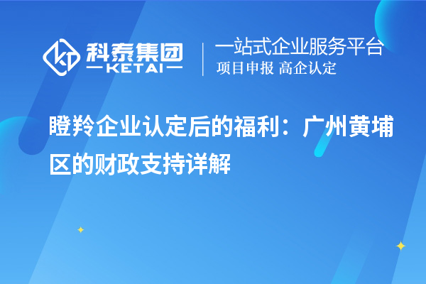 瞪羚企業(yè)認(rèn)定后的福利:廣州黃埔區(qū)的財(cái)政支持詳解