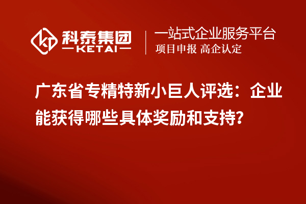 廣東省專精特新小巨人評選:企業(yè)能獲得哪些具體獎勵和支持?