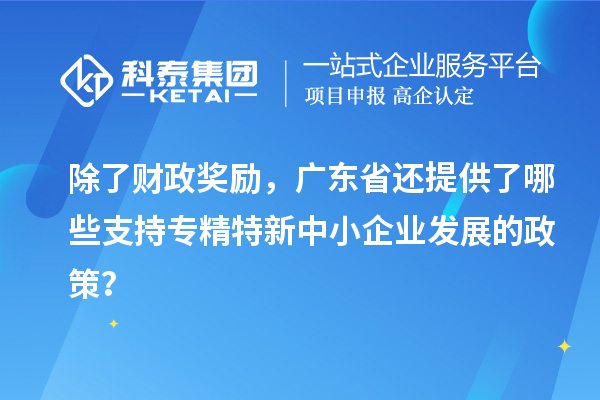 除了財政獎勵，廣東省還提供了哪些支持專精特新中小企業(yè)發(fā)展的政策？
