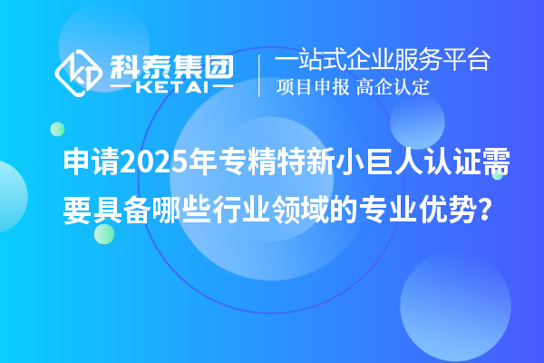 申請(qǐng)2025年專精特新小巨人認(rèn)證需要具備哪些行業(yè)領(lǐng)域的專業(yè)優(yōu)勢？