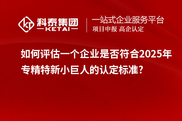 如何評估一個(gè)企業(yè)是否符合2025年專精特新小巨人的認(rèn)定標(biāo)準(zhǔn)?