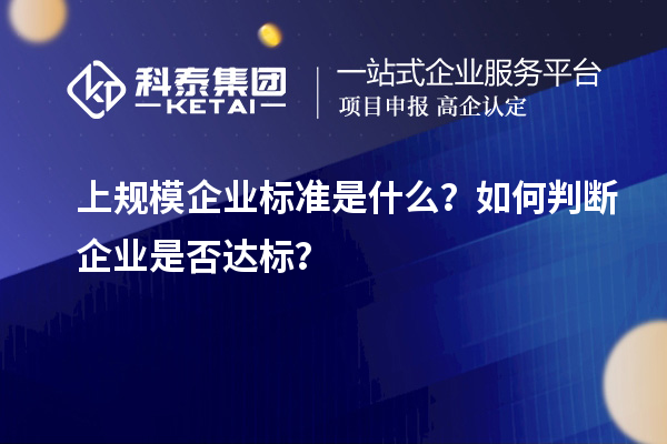上規(guī)模企業(yè)標準是什么？如何判斷企業(yè)是否達標？