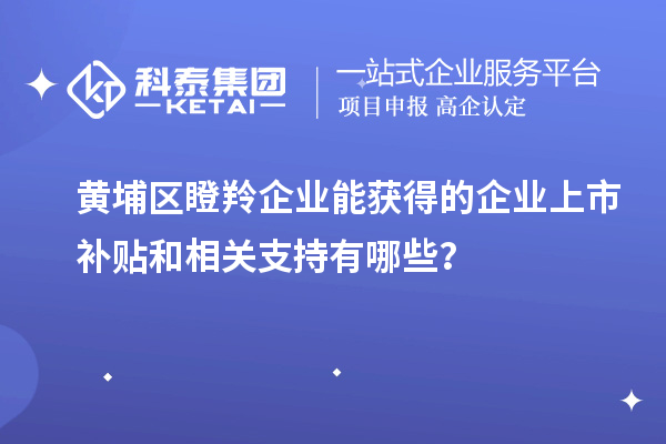 黃埔區(qū)瞪羚企業(yè)能獲得的企業(yè)上市補(bǔ)貼和相關(guān)支持有哪些？