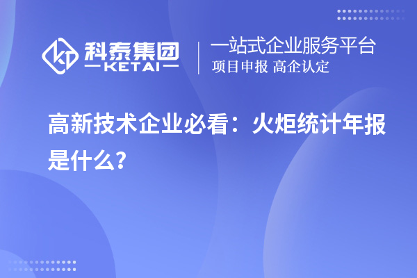 高新技術(shù)企業(yè)必看：火炬統(tǒng)計年報是什么？