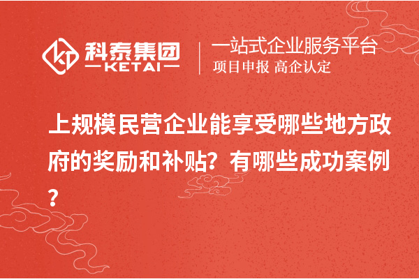 上規(guī)模民營企業(yè)能享受哪些地方政府的獎勵和補貼？有哪些成功案例？