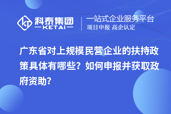 廣東省對(duì)上規(guī)模民營(yíng)企業(yè)的扶持政策具體有哪些？如何申報(bào)并獲取政府資助？