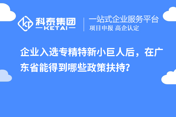 企業(yè)入選專精特新小巨人后，在廣東省能得到哪些政策扶持？