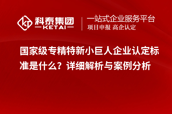國家級專精特新小巨人企業(yè)認(rèn)定標(biāo)準(zhǔn)是什么？詳細解析與案例分析