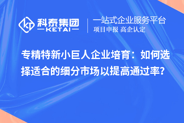 專精特新小巨人企業(yè)培育：如何選擇適合的細(xì)分市場以提高通過率？