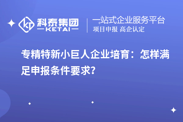 專精特新小巨人企業(yè)培育:怎樣滿足申報(bào)條件要求?