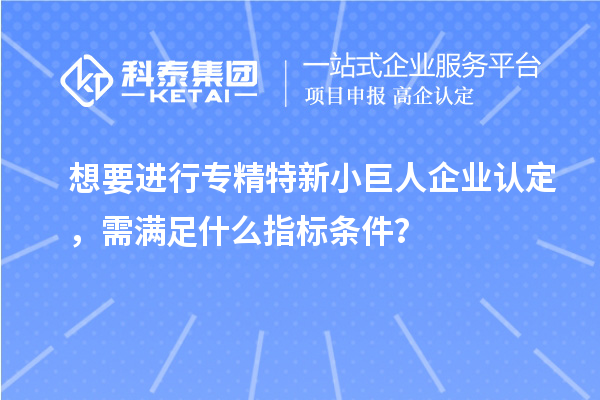 想要進(jìn)行專精特新小巨人企業(yè)認(rèn)定，需滿足什么指標(biāo)條件？