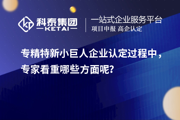 專精特新小巨人企業(yè)認(rèn)定過程中，專家看重哪些方面呢？