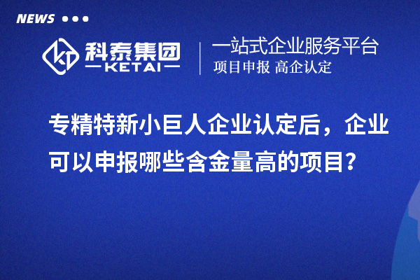 專精特新小巨人企業(yè)認(rèn)定后，企業(yè)可以申報(bào)哪些含金量高的項(xiàng)目？