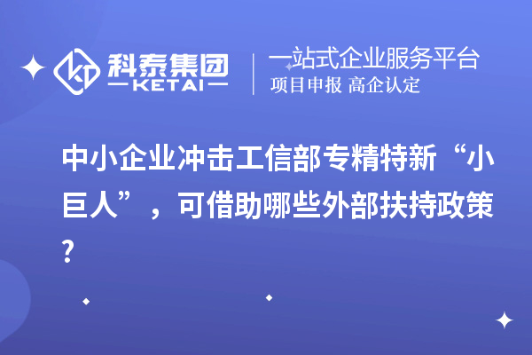 中小企業(yè)沖擊工信部專精特新 “小巨人”,可借助哪些外部扶持政策?