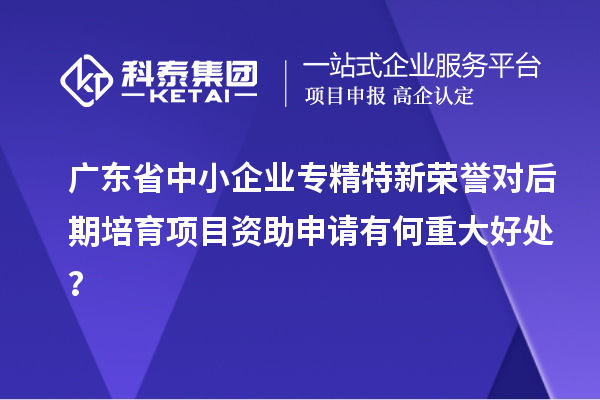 廣東省中小企業(yè)專精特新榮譽對后期培育項目資助申請有何重大好處？