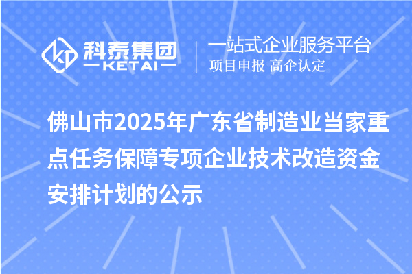 佛山市2025年廣東省制造業(yè)當家重點任務保障專項企業(yè)技術改造資金安排計劃的公示