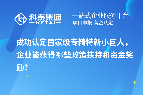 成功認(rèn)定國(guó)家級(jí)專精特新小巨人，企業(yè)能獲得哪些政策扶持和資金獎(jiǎng)勵(lì)？