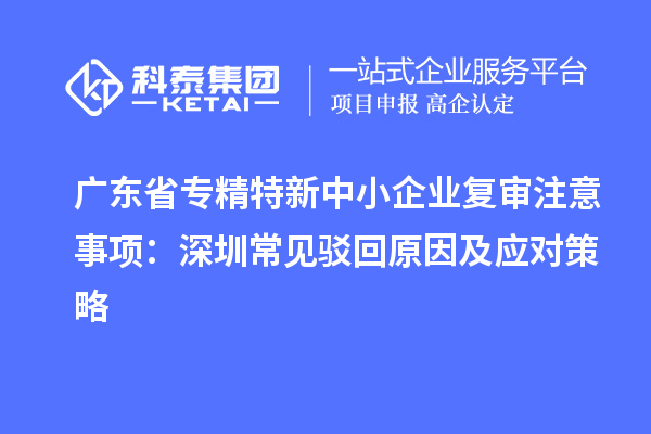 廣東省專精特新中小企業(yè)復(fù)審注意事項(xiàng)：深圳常見駁回原因及應(yīng)對(duì)策略