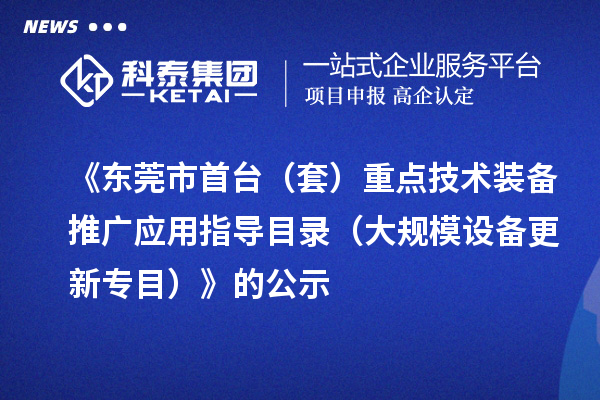 《東莞市首臺(套)重點技術(shù)裝備推廣應(yīng)用指導(dǎo)目錄(大規(guī)模設(shè)備更新專目)》的公示