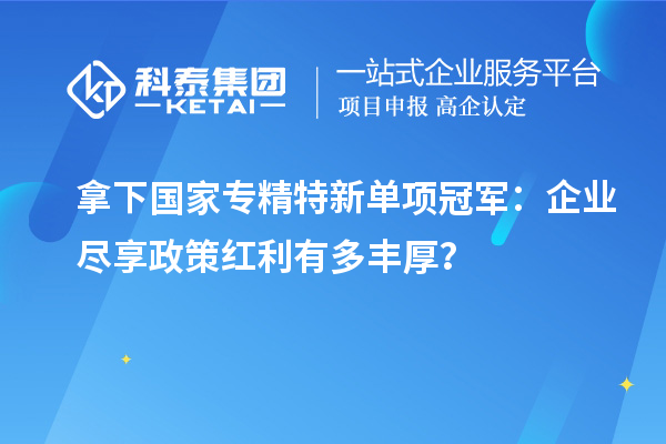 拿下國家專精特新單項冠軍：企業(yè)盡享政策紅利有多豐厚？