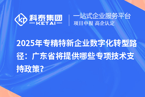 2025年專精特新企業(yè)數(shù)字化轉(zhuǎn)型路徑：廣東省將提供哪些專項技術(shù)支持政策？