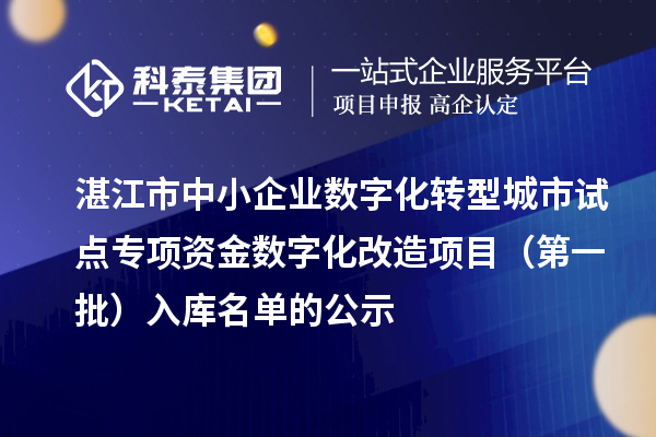 湛江市中小企業(yè)數(shù)字化轉(zhuǎn)型城市試點專項資金數(shù)字化改造項目(第一批)入庫名單的公示
