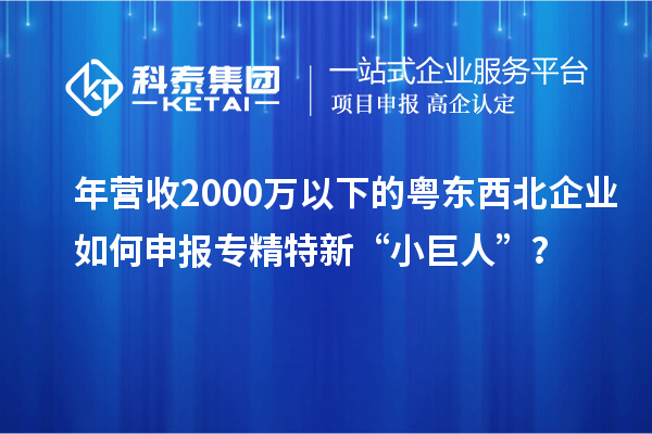 年營收2000萬以下的粵東西北企業(yè)如何申報專精特新“小巨人”？
