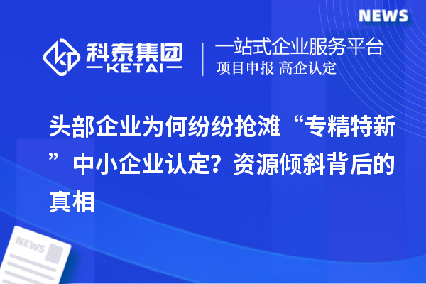 頭部企業(yè)為何紛紛搶灘“專精特新”中小企業(yè)認(rèn)定？資源傾斜背后的真相