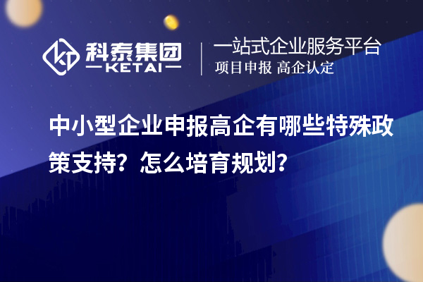 中小型企業(yè)申報(bào)高企有哪些特殊政策支持？怎么培育規(guī)劃？