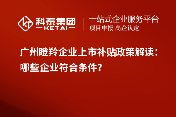 廣州瞪羚企業(yè)上市補貼政策解讀：哪些企業(yè)符合條件？