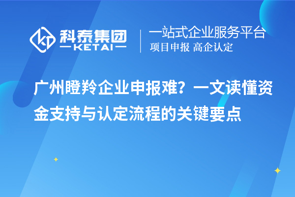 廣州瞪羚企業(yè)申報(bào)難？一文讀懂資金支持與認(rèn)定流程的關(guān)鍵要點(diǎn)